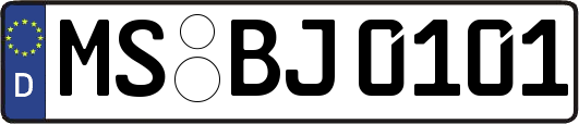 MS-BJ0101