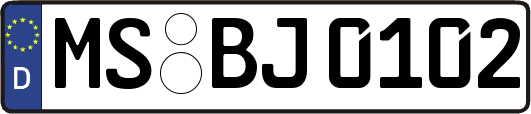 MS-BJ0102