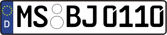 MS-BJ0110