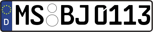 MS-BJ0113