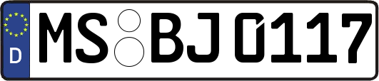 MS-BJ0117