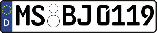 MS-BJ0119