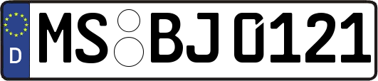 MS-BJ0121