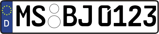MS-BJ0123