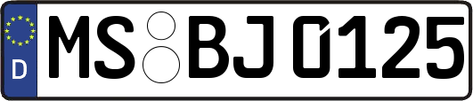 MS-BJ0125
