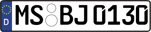 MS-BJ0130