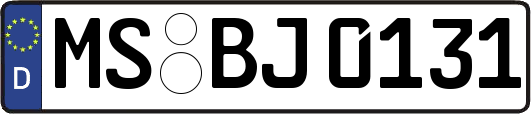 MS-BJ0131
