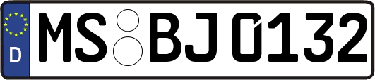 MS-BJ0132