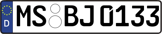 MS-BJ0133