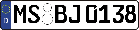 MS-BJ0138