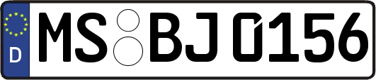 MS-BJ0156