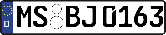 MS-BJ0163