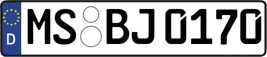 MS-BJ0170