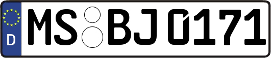 MS-BJ0171
