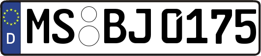MS-BJ0175