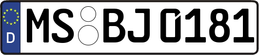 MS-BJ0181
