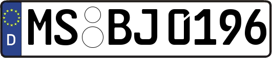 MS-BJ0196