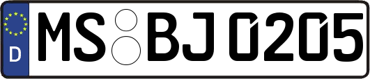 MS-BJ0205