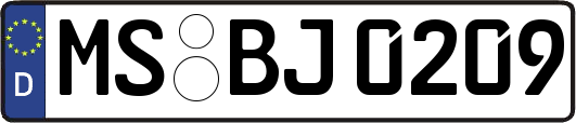 MS-BJ0209