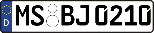 MS-BJ0210
