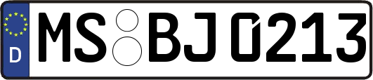 MS-BJ0213