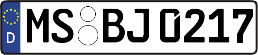 MS-BJ0217