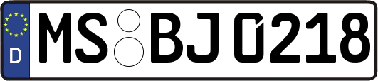 MS-BJ0218
