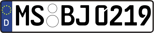 MS-BJ0219