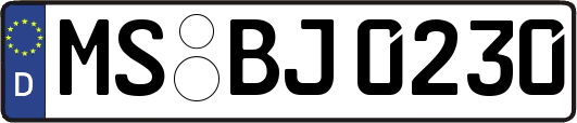 MS-BJ0230