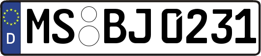MS-BJ0231