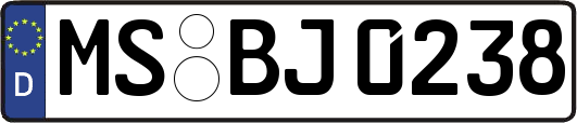 MS-BJ0238