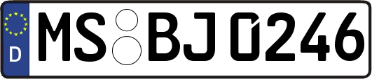 MS-BJ0246