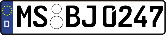 MS-BJ0247