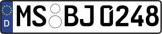 MS-BJ0248