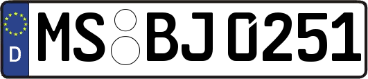 MS-BJ0251