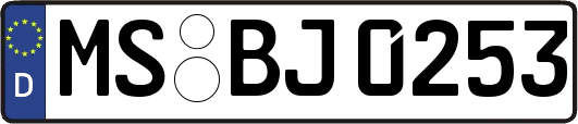 MS-BJ0253