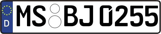 MS-BJ0255