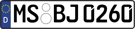 MS-BJ0260