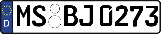 MS-BJ0273