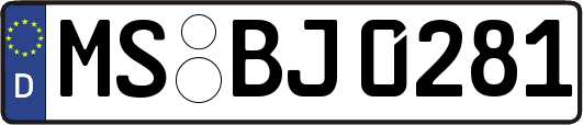 MS-BJ0281