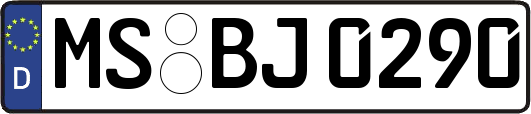 MS-BJ0290