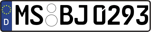 MS-BJ0293