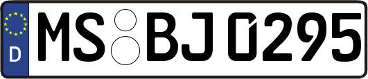 MS-BJ0295