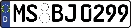 MS-BJ0299