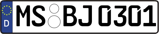 MS-BJ0301