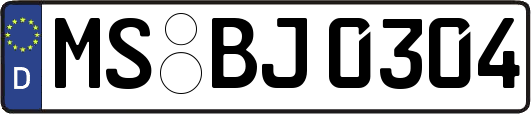 MS-BJ0304