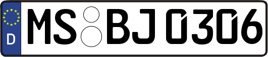 MS-BJ0306
