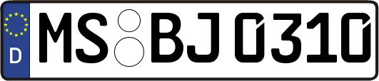 MS-BJ0310
