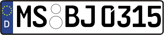 MS-BJ0315