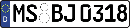 MS-BJ0318